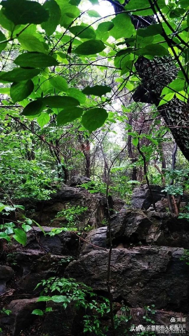 马上！大宗山朗公寺庙会就要举办，拉面哥和大衣哥会来吗？