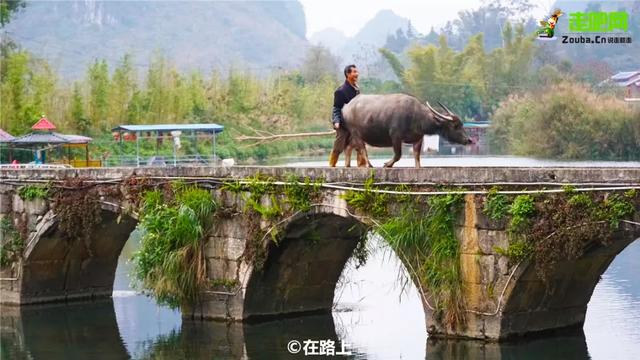 最后一波枫叶！广西最美边境小城，山水媲美桂林，12月美的正当时