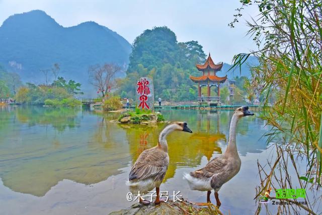 最后一波枫叶！广西最美边境小城，山水媲美桂林，12月美的正当时
