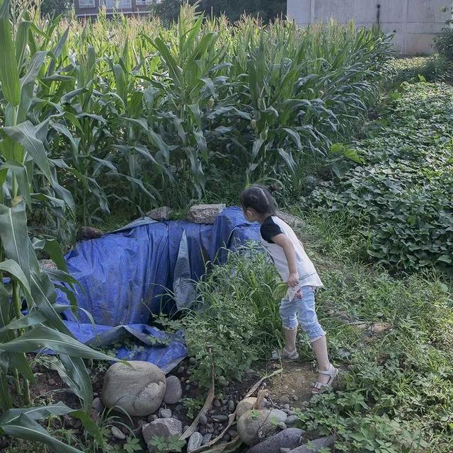 正午视觉 | 语语的夏天