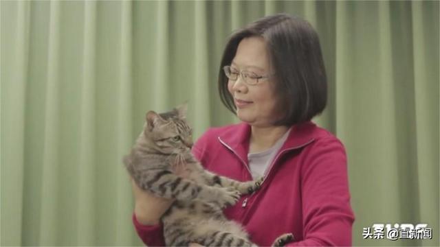 154只猫被安乐死，蔡英文“爱猫”人设崩塌丨台湾一周