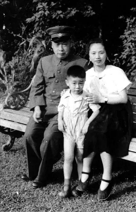 陈小鲁：我父亲是元帅，我岳父是大将，我妻子的军衔比我还高一级