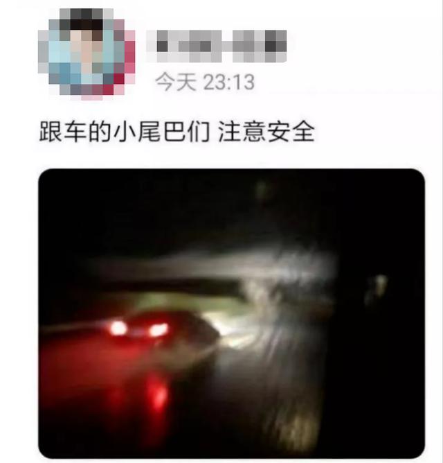 一曲爆火，唱功逆天：这个29岁男星，真的被严重低估了？