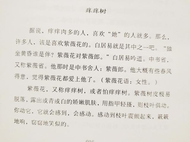 含羞草、虞美人……植物那些诗意的名字