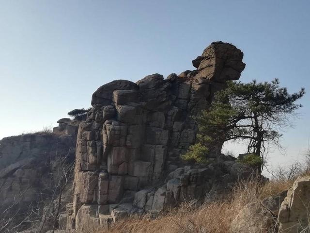 虎风虎韵齐鲁行 | 一村容二虎，助力新农村