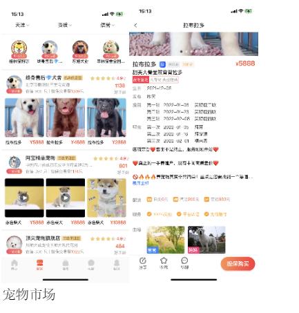 宠物APP竞品分析