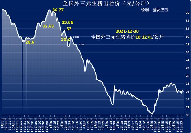 12月30日猪价：止步连跌！猪价从年末开始涨，要迎“涨价潮”？