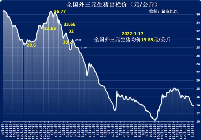 猪价大跌61.8%，17日行情“变脸”，猪价要翻天大涨？2个重要变化