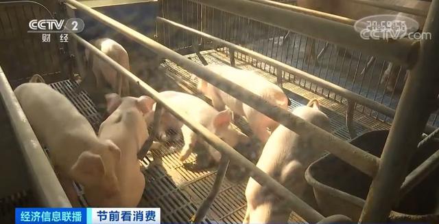 稳了！15万吨冻猪肉已“发货”，还有一大拨在路上！这个春节，大口吃肉