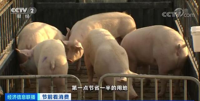 稳了！15万吨冻猪肉已“发货”，还有一大拨在路上！这个春节，大口吃肉