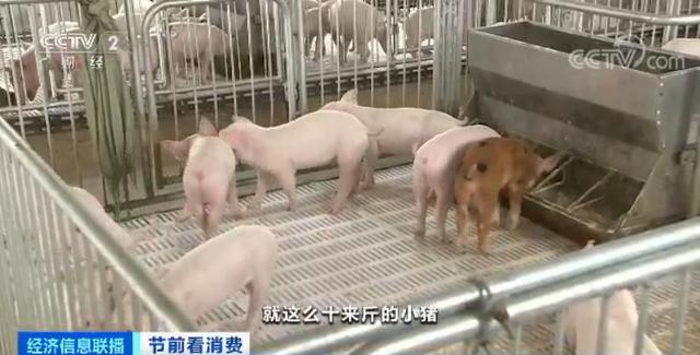 稳了！15万吨冻猪肉已“发货”，还有一大拨在路上！这个春节，大口吃肉