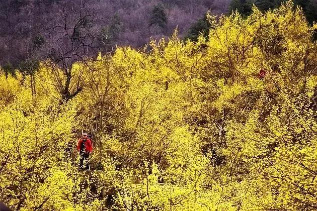 陕西各县居然都有小名！难道这么多年你都叫错了？