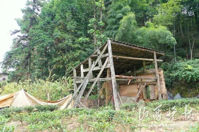 山西晚报采访团重走晋商万里茶路：跨越闽赣！翻山越岭涉古渡，寻贩茶人印迹