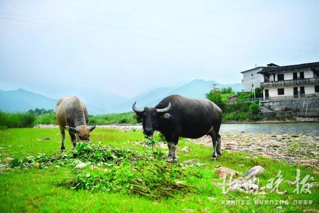 山西晚报采访团重走晋商万里茶路：跨越闽赣！翻山越岭涉古渡，寻贩茶人印迹