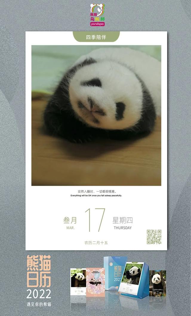 相隔12年出生的大熊猫，能有着哪些奇妙的联系？