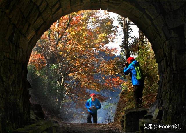 浙江有个名不见经传的小村落，夏天却可以美得不输九寨沟