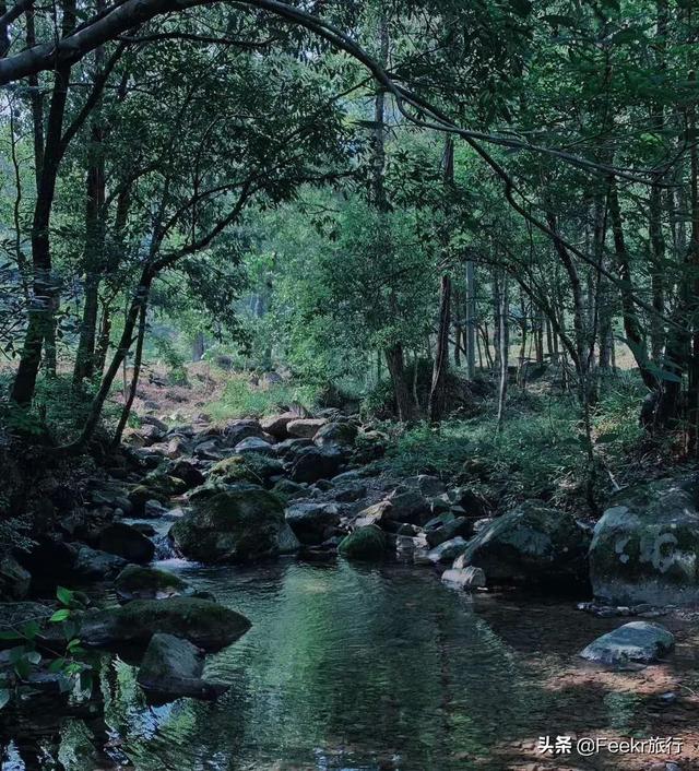 浙江有个名不见经传的小村落，夏天却可以美得不输九寨沟