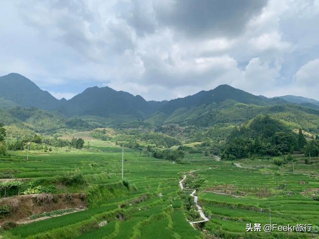 浙江有个名不见经传的小村落，夏天却可以美得不输九寨沟