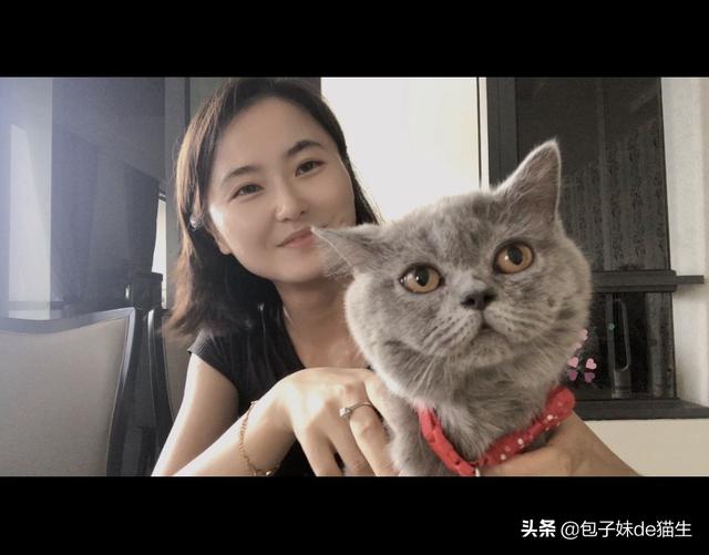 你们的猫叫什么名字？有多可爱？