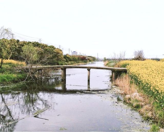 回乡杂记－难忘的知青岁月