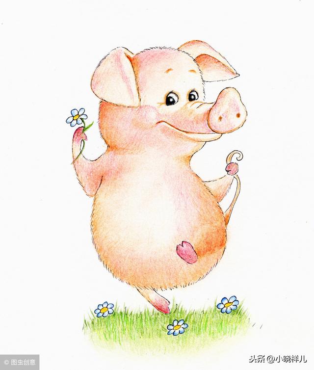 猪年说“猪”：关于“猪”的释义+故事+诗词，超有趣！转给孩子