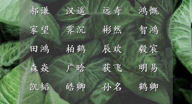 长在审美点上的男孩名字，成为一生的骄傲