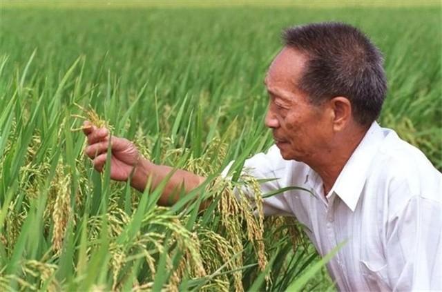 袁隆平家人：三个孙女颜值高，儿子身份不一般