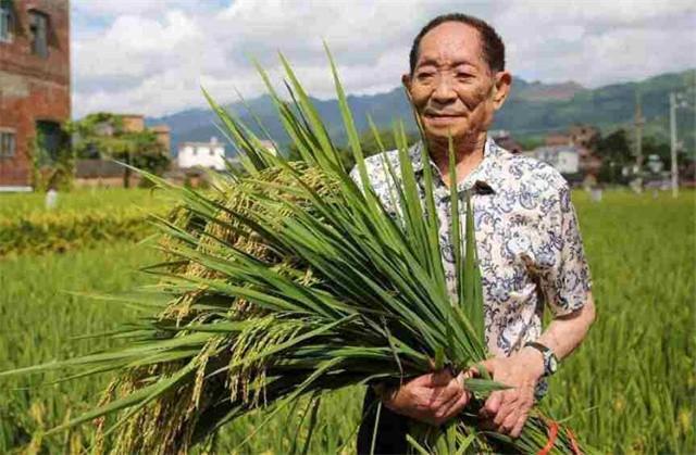 袁隆平家人：三个孙女颜值高，儿子身份不一般