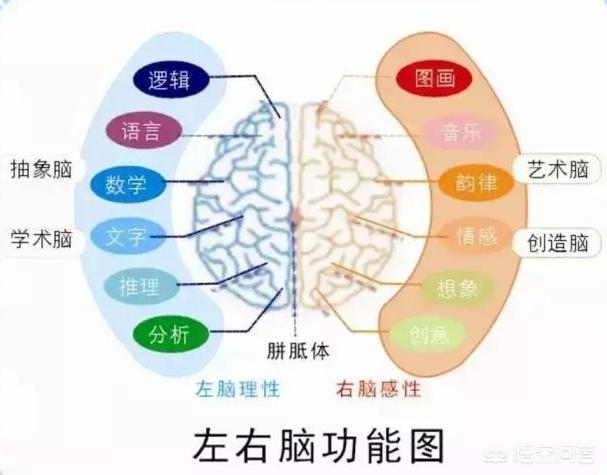 儿童超强记忆力是怎样练成的？