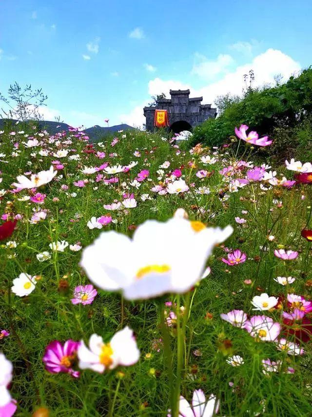 在韶关，留住年味与乡愁：古道悠悠慢慢行，古村座座越千年