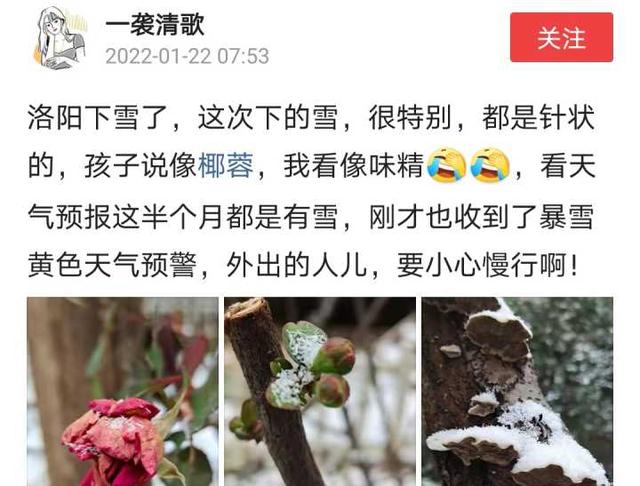 天上粮仓漏了？河南多地降下“长粒香型”大雪，雪花不是片而是棍