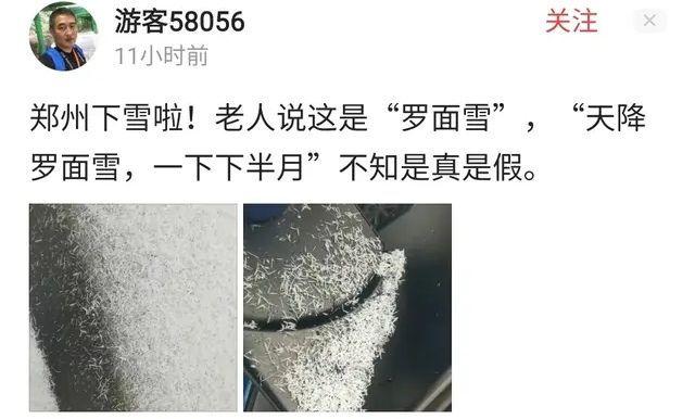 天上粮仓漏了？河南多地降下“长粒香型”大雪，雪花不是片而是棍