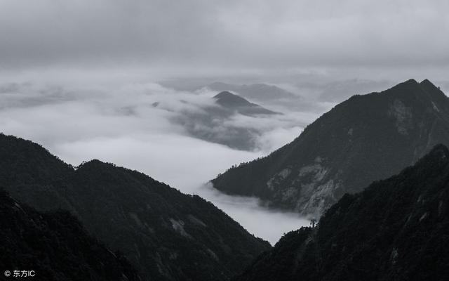 名字行辈与姓氏寻根