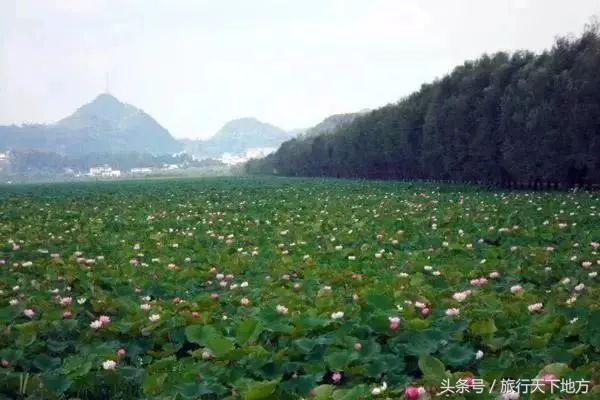 话说贵州拥有6个洋气的新名字！有你向往的意境吗？