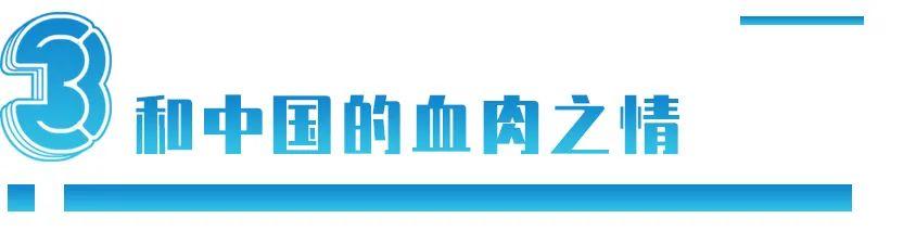 拥有全国70%财富，22位总理有中国血统：泰国华人是怎样的存在？