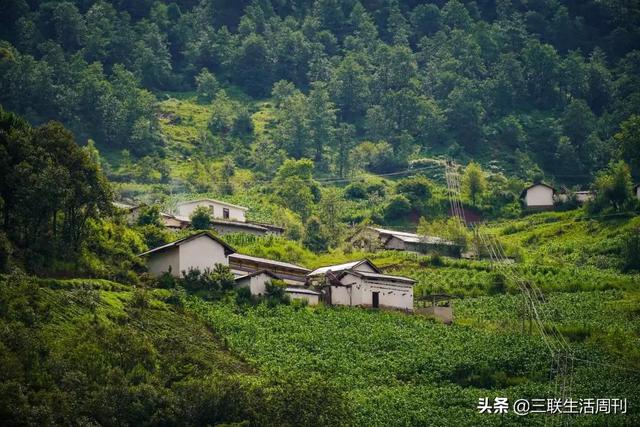 人民日报点赞！他们来自大山深处，却唱出天籁火遍抖音