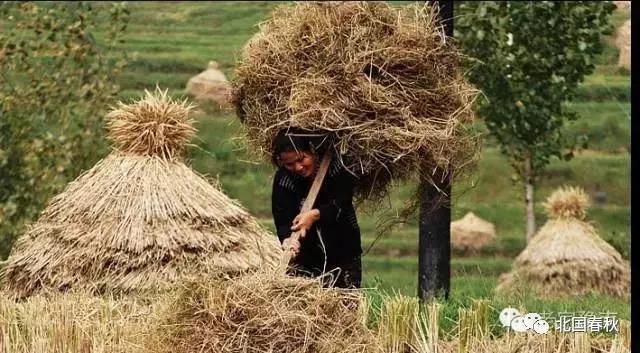 趣谈信阳罗山人五花八门的姓名