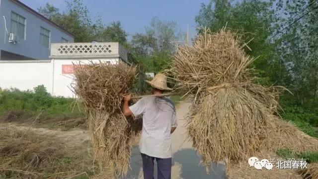 趣谈信阳罗山人五花八门的姓名