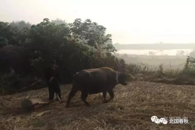 趣谈信阳罗山人五花八门的姓名