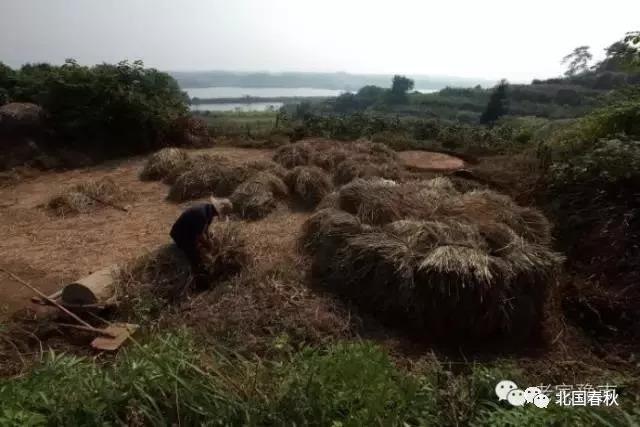 趣谈信阳罗山人五花八门的姓名