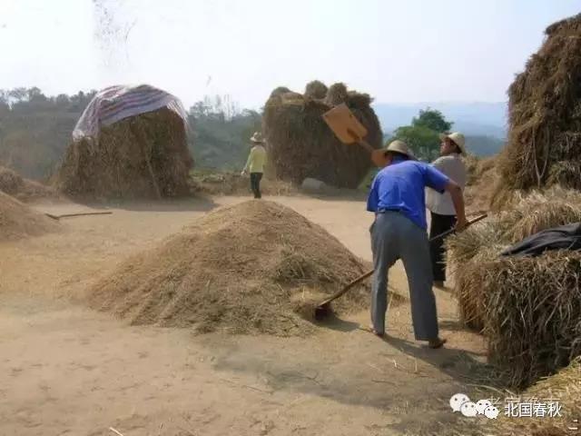 趣谈信阳罗山人五花八门的姓名