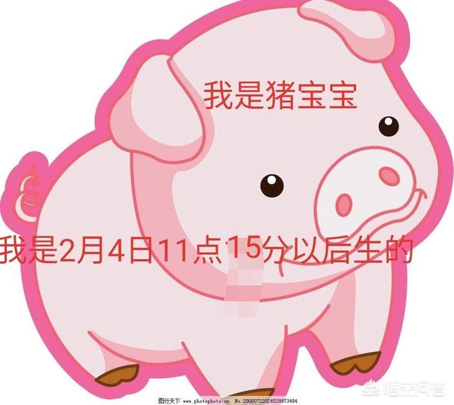 2019年2月4日是除夕日，也是猪年立春日，这天出生的小孩是属猪还是属狗？
