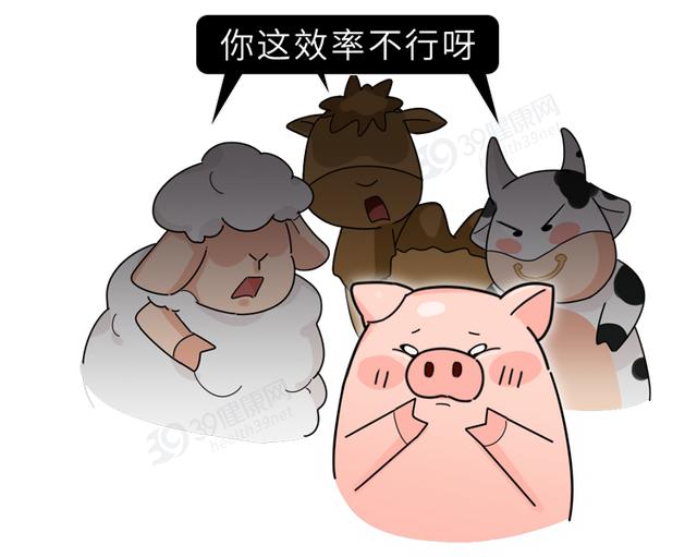 “猪奶”是什么味道？为什么没人喝？其实，它的营养比牛奶还要高