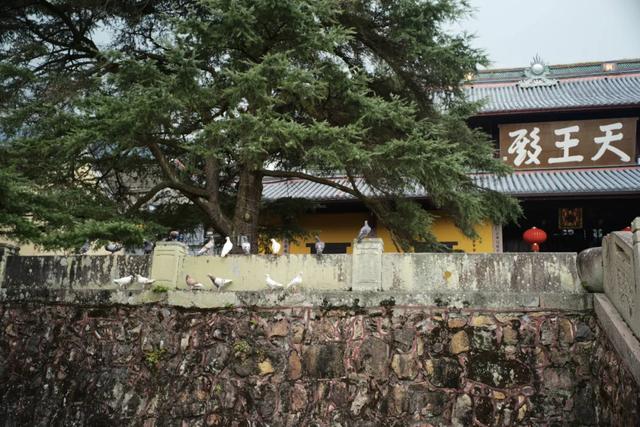 别再说什么小京都了，宁波这些寺庙来打脸了