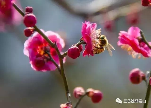 泰安竟然还有这么多奇葩土豪村名！看了不许笑哦！！