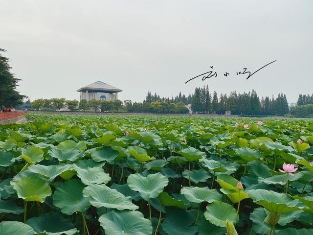 江苏省淮安市地名太混乱，不仅游客头晕，连好多本地人都搞不清楚