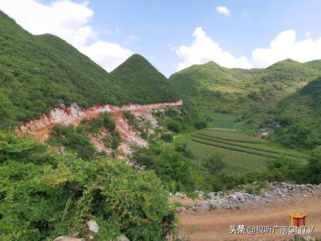 柏选平——用泥土本色奉献人间芳香