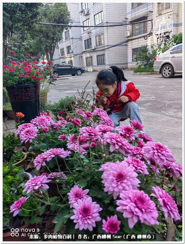 春夏秋冬花间词，生活明朗，万物皆可爱