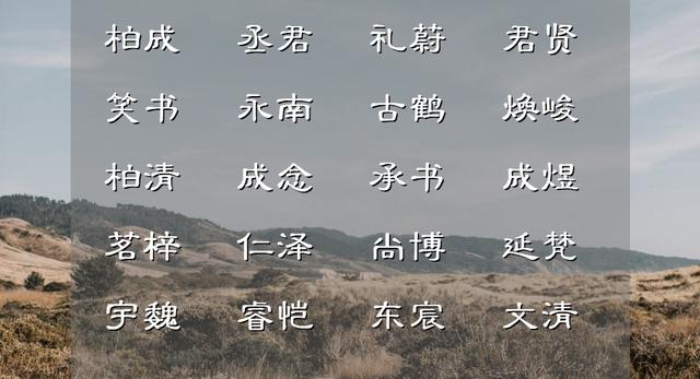 君子之行，玉树临风的男孩名字