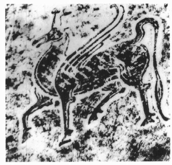 汉代神兽︱像羊像马又像鹿——汉代麒麟长什么样？